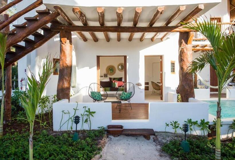 プレミアムジュニアスイート, Villas Hm Palapas del Mar