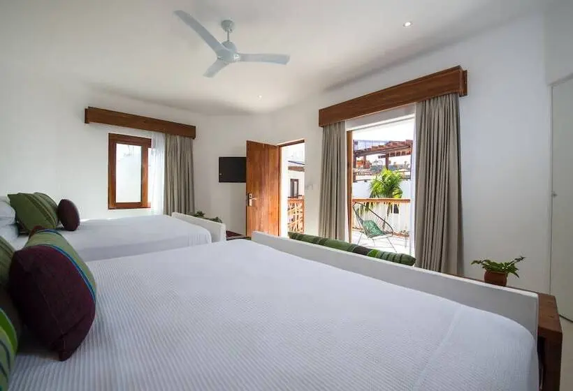 Superior-juniorsviitti, Villas Hm Palapas del Mar