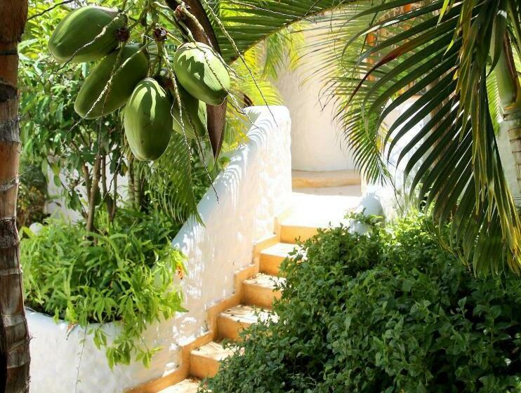 اتاق استاندارد با تخت بزرگ, Zawadi Residence