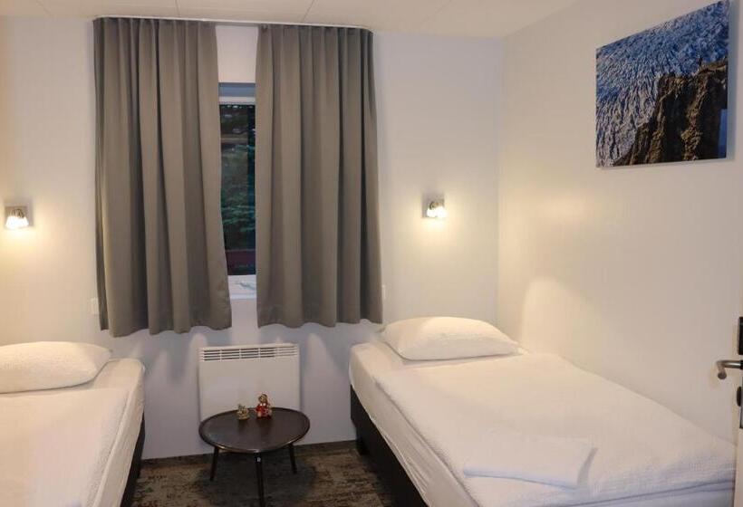 اتاق استاندارد با سرویس بهداشتی مشترک, Hofn Hostel
