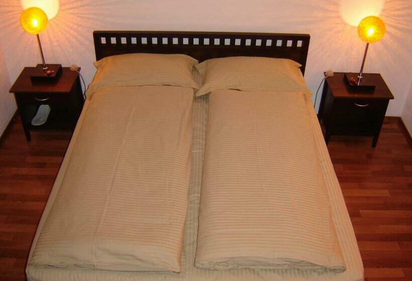 اتاق استاندارد یک نفره, Amir