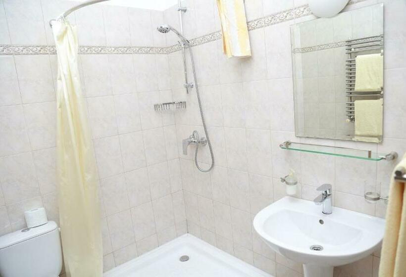 اتاق استاندارد یک نفره, Amir