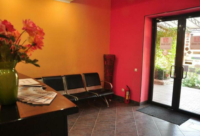 اتاق استاندارد یک نفره, Amir