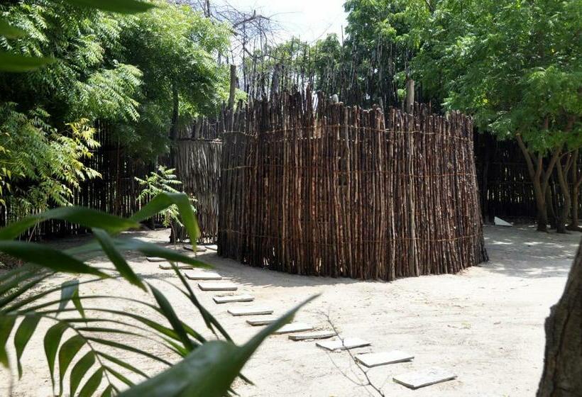 ویلای استاندارد با چشمانداز باغ, The Red Pepper House