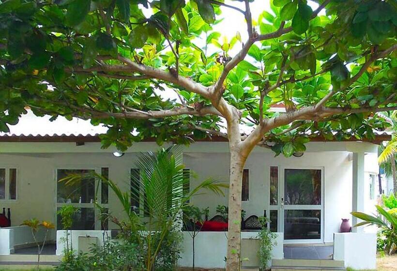 Deluxe Suite Sea View, Village Vacances Awale Plage