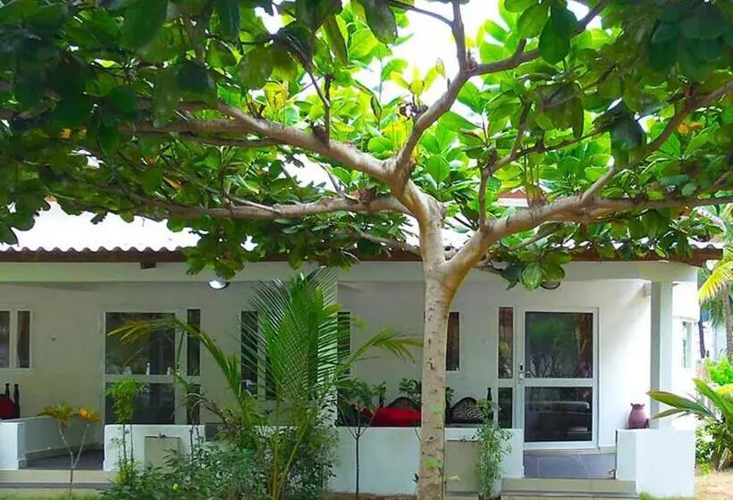 Deluxe Suite Sea View, Village Vacances Awale Plage