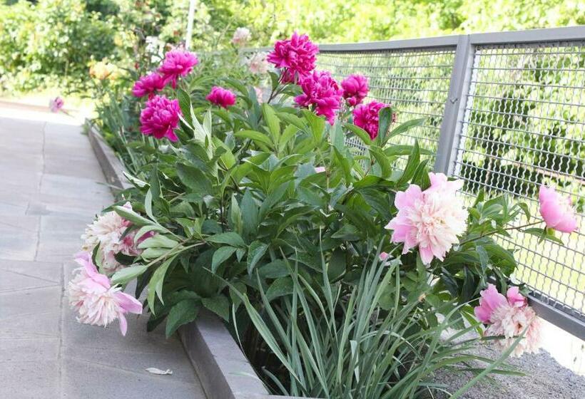 اتاق لوکس, Lusya B&b