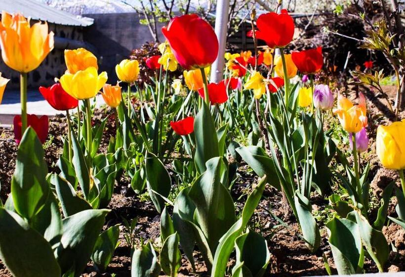 اتاق استاندارد با چشمانداز باغ, Lusya B&b