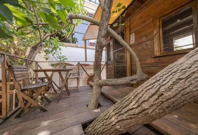 اتاق استاندارد با تراس, El Refugio De Sayulita   Health And Wellness House