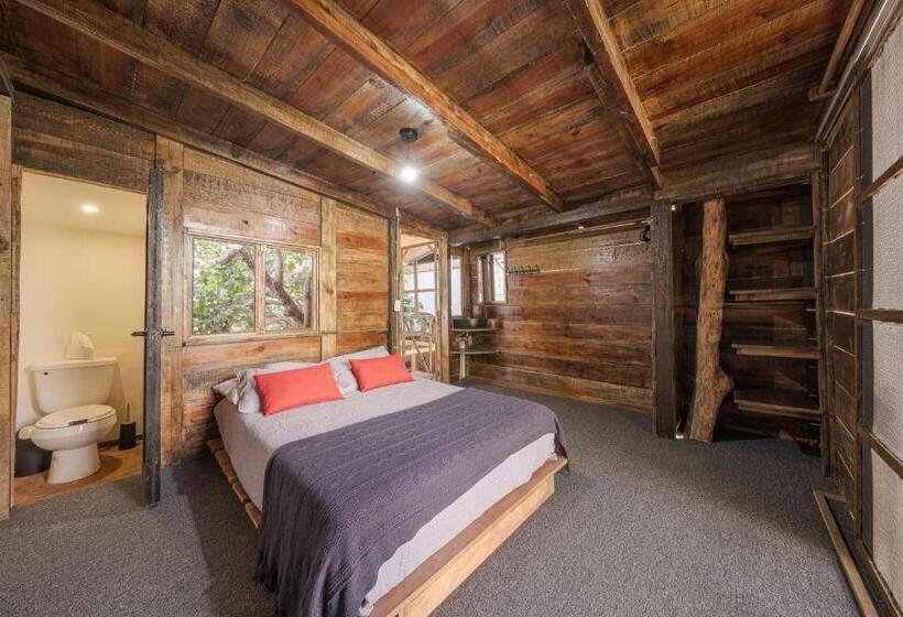 스탠다드 테라스 룸, El Refugio De Sayulita   Health And Wellness House