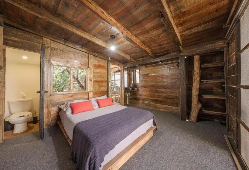 اتاق استاندارد با تراس, El Refugio De Sayulita   Health And Wellness House