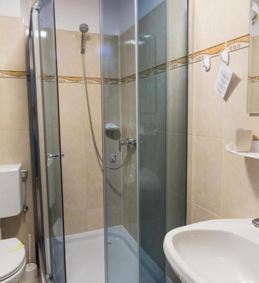 이코노미 룸, Casa Bradul Voronet