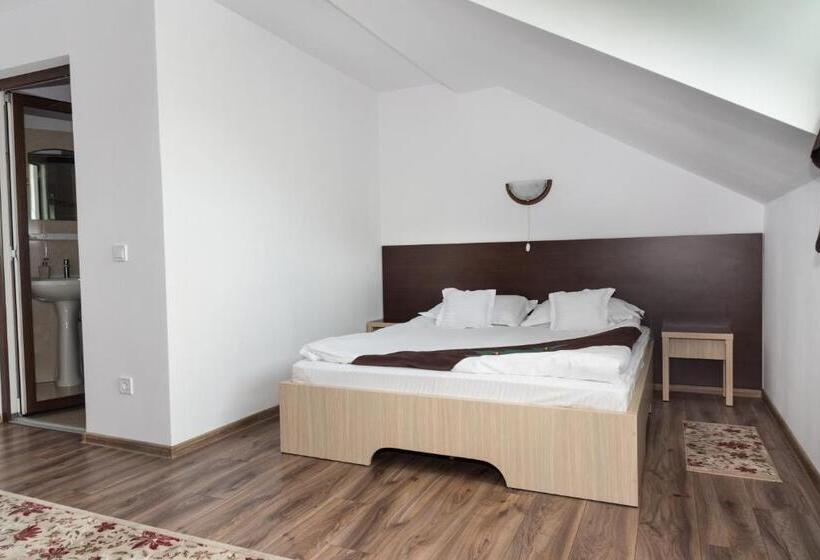 이코노미 룸, Casa Bradul Voronet