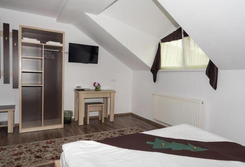 이코노미 룸, Casa Bradul Voronet