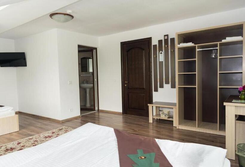 غرفة قياسية, Casa Bradul Voronet