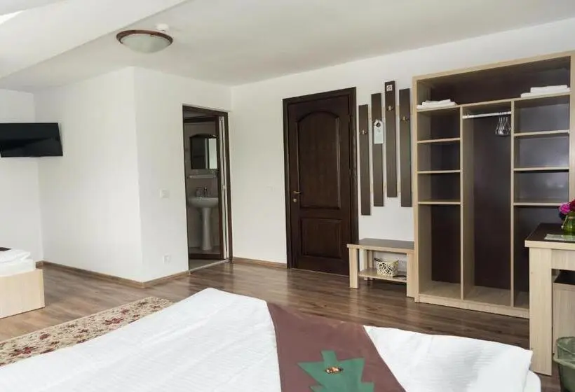 スタンダードルーム, Casa Bradul Voronet