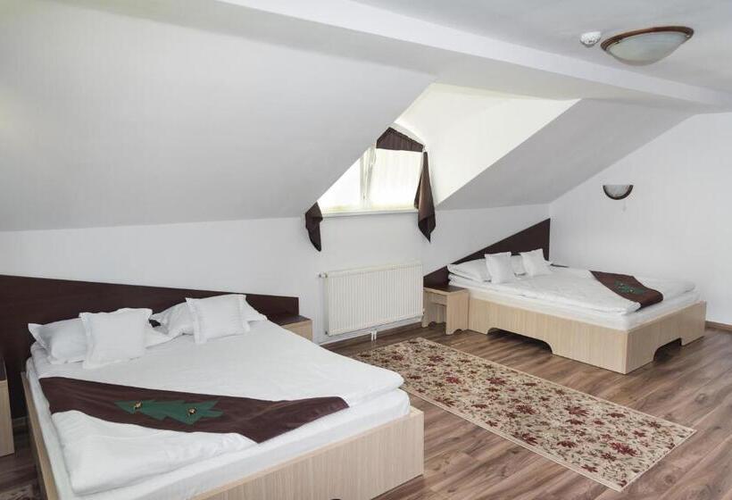 اتاق استاندارد, Casa Bradul Voronet