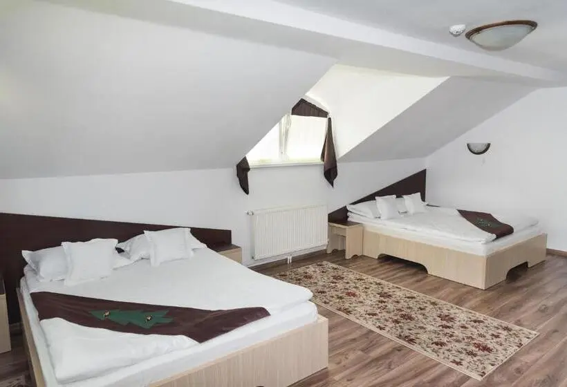 スタンダードルーム, Casa Bradul Voronet