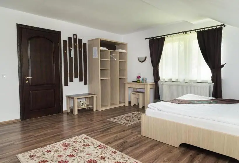 スタンダードルーム, Casa Bradul Voronet
