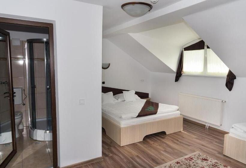 이코노미 트리플 룸, Casa Bradul Voronet