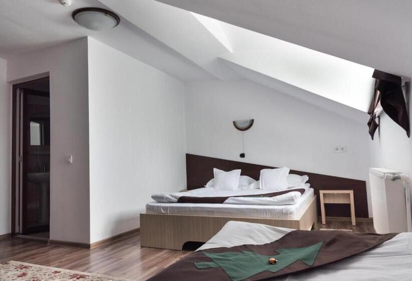 Economy Triple Room, Casa Bradul Voronet