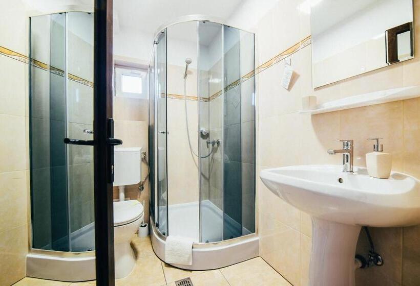 استودیو خانوادگی, Casa Bradul Voronet