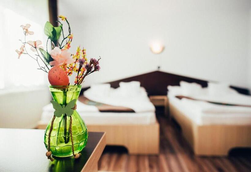 إستديو عائلى, Casa Bradul Voronet