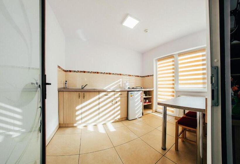 패밀리 스튜디오, Casa Bradul Voronet