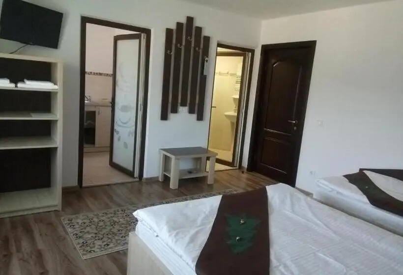スタンダードスタジオ, Casa Bradul Voronet