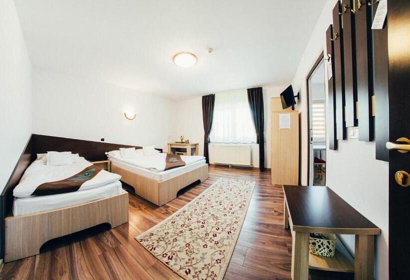 스탠다드 스튜디오, Casa Bradul Voronet