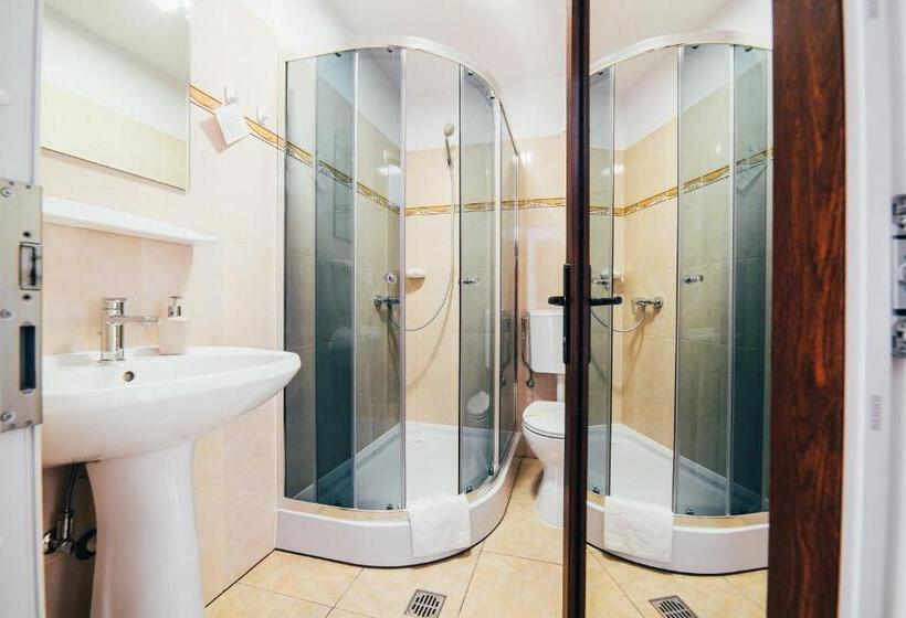 اتاق اکونومی, Casa Bradul Voronet
