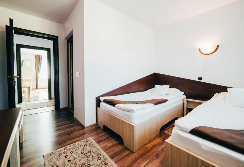 이코노미 룸, Casa Bradul Voronet