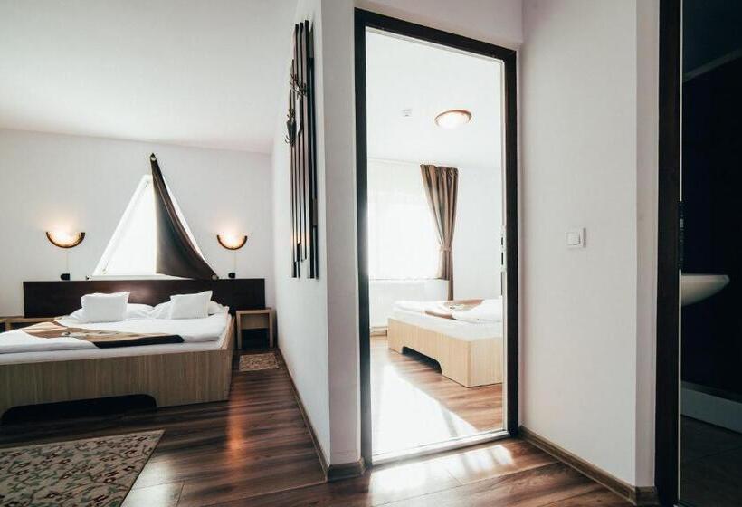 디럭스 패밀리 룸, Casa Bradul Voronet