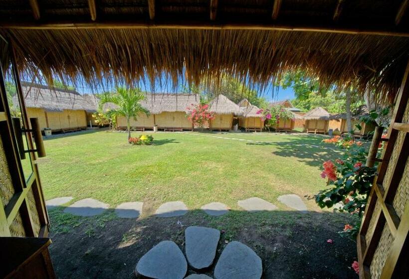 디럭스 코티지, Begadang