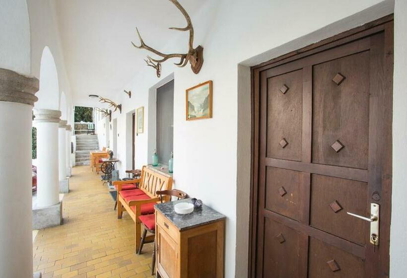 اتاق استاندارد, Eden Panzió