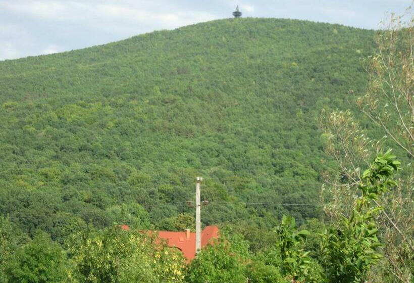 スタンダードルーム, Hegyi Panzió