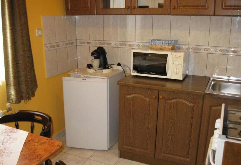 １ベッドルームのデラックスアパートメント, Hegyi Panzió