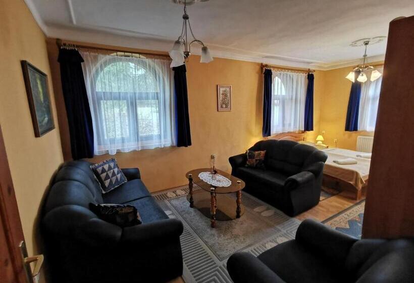 带1个卧室的豪华公寓, Hegyi Panzió