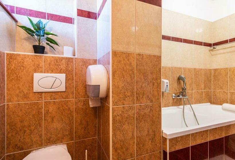 디럭스 패밀리 룸, Borhotel Sziluett Farkasmály