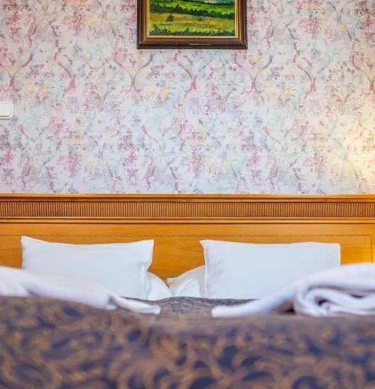 Executive Kolmen Hengen Huone, Borhotel Sziluett Farkasmály