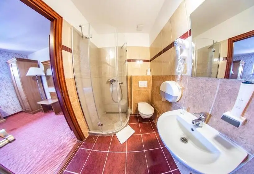 Executive Kolmen Hengen Huone, Borhotel Sziluett Farkasmály
