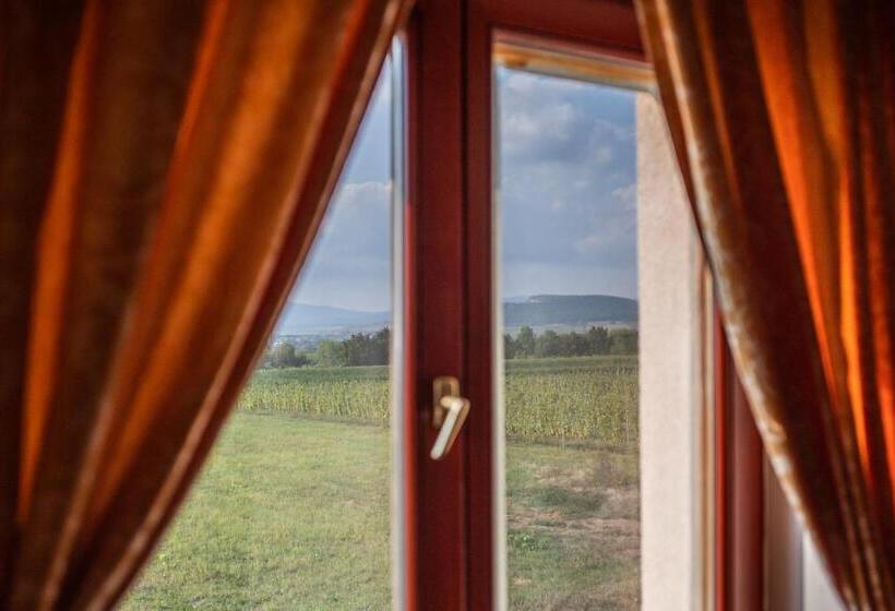 이그제큐티브 트리플, Borhotel Sziluett Farkasmály