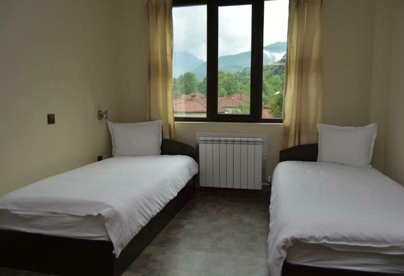 Номер Стандарт с Балконом, Family Hotel Balkana