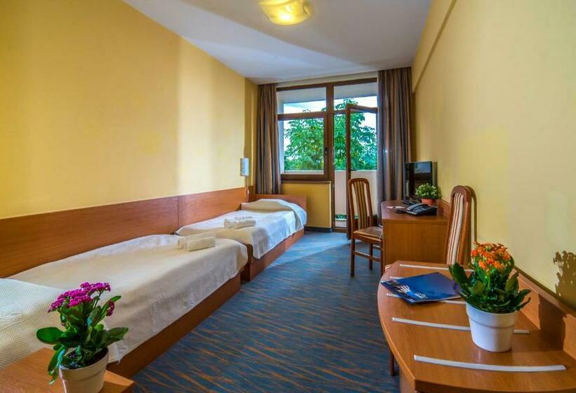 스탠다드 발코니 룸, Duna