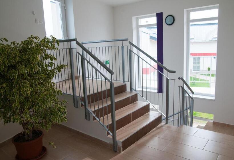 Standardrum, Pallone