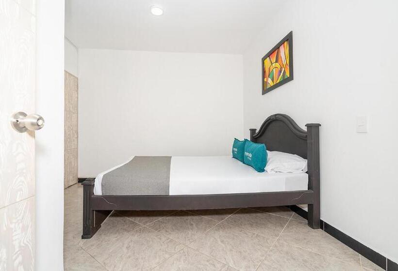 Номер Стандарт, Mazal Rionegro