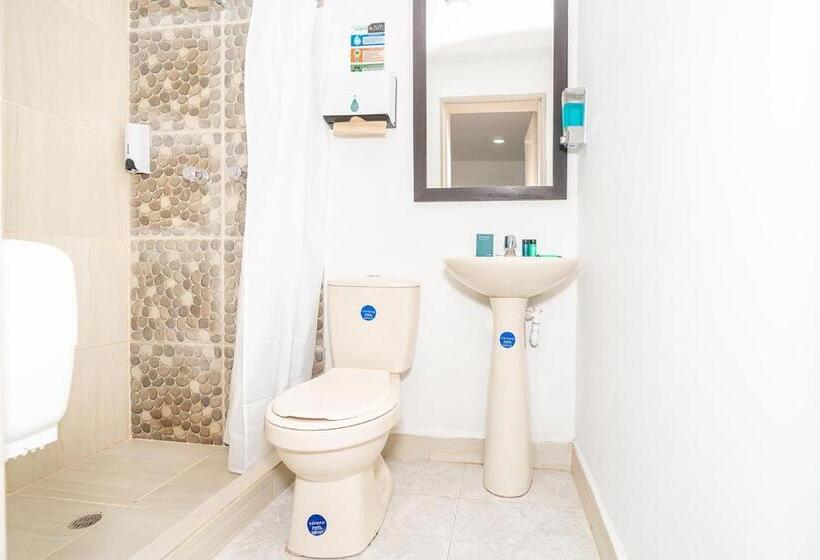 Номер Стандарт, Mazal Rionegro