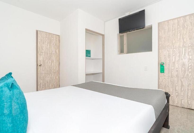 Номер Стандарт, Mazal Rionegro