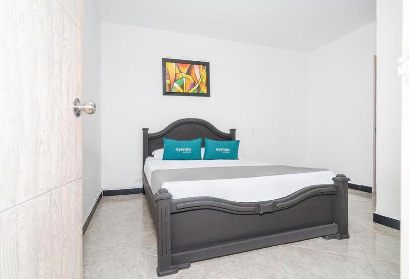 Номер Стандарт, Mazal Rionegro