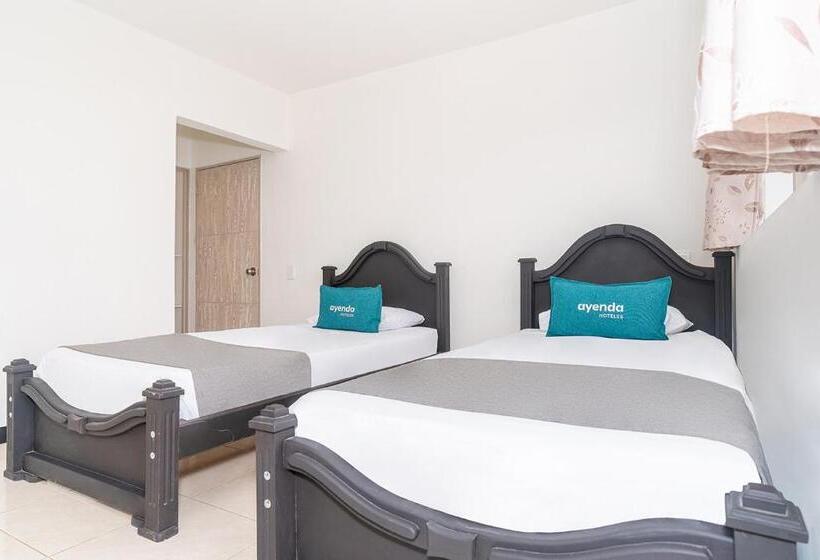 Номер Стандарт, Mazal Rionegro